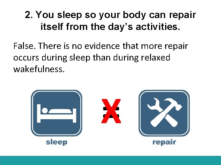 2. You sleep so your body can repair itself from the day’s activities. False.