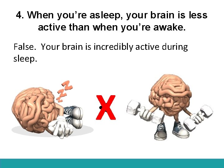 4. When you’re asleep, your brain is less active than when you’re awake. False.