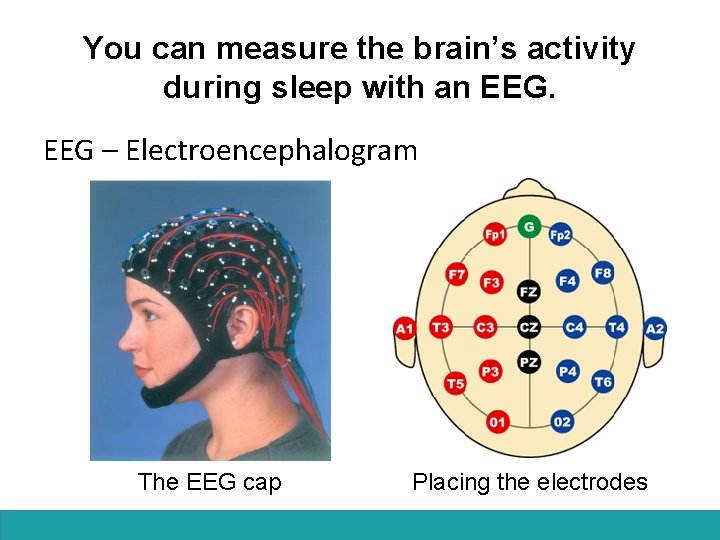 You can measure the brain’s activity during sleep with an EEG – Electroencephalogram The