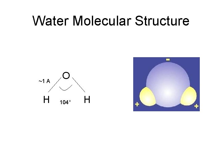Water Molecular Structure ~1 A H O 104° H 