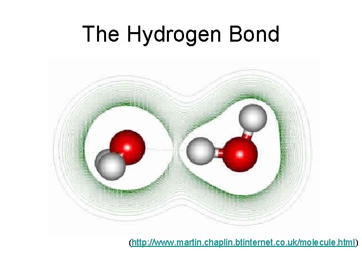 The Hydrogen Bond (http: //www. martin. chaplin. btinternet. co. uk/molecule. html) 