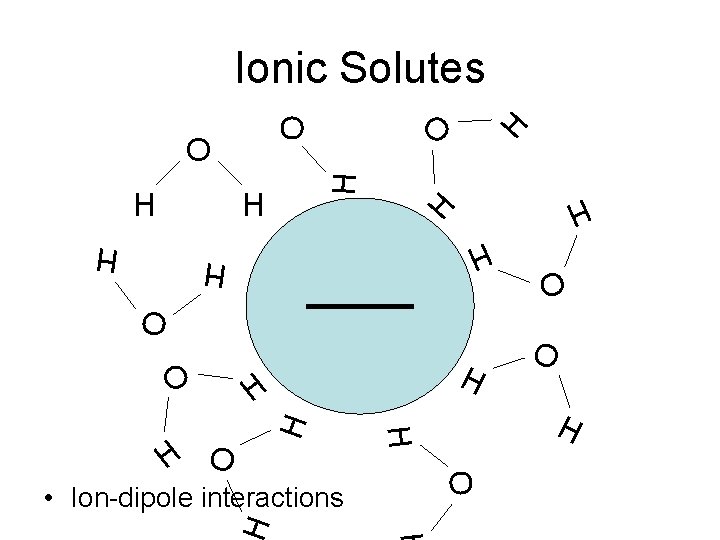 H H H O O • Ion-dipole interactions O H O O H H