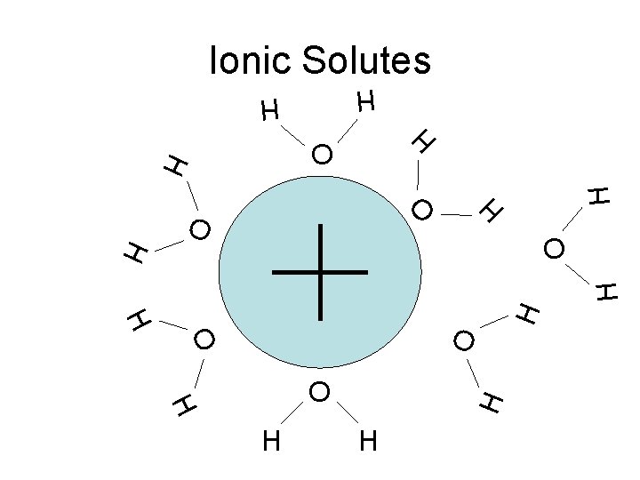 Ionic Solutes H O H H O O H H H H O H