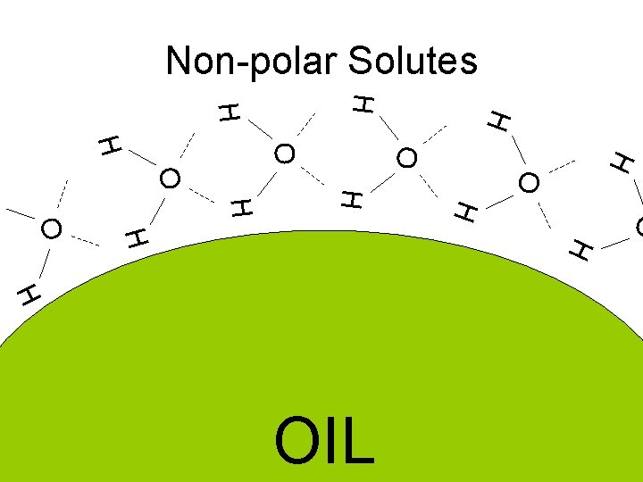 Non-polar Solutes H H O O H H H O H OIL 