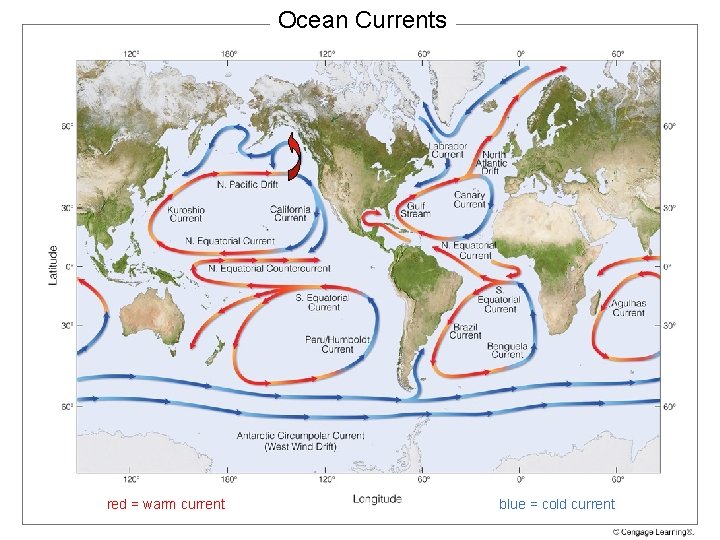 Ocean Currents red = warm current blue = cold current 