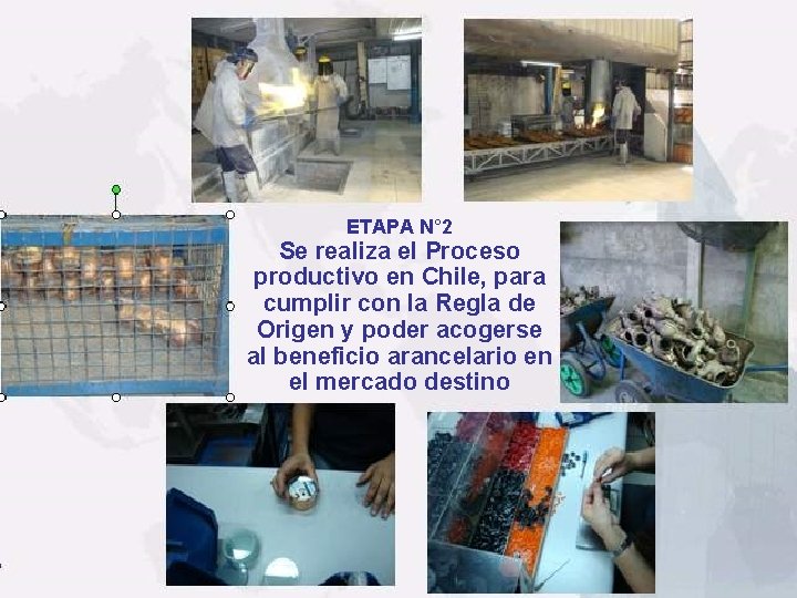 ETAPA N° 2 Se realiza el Proceso productivo en Chile, para cumplir con la