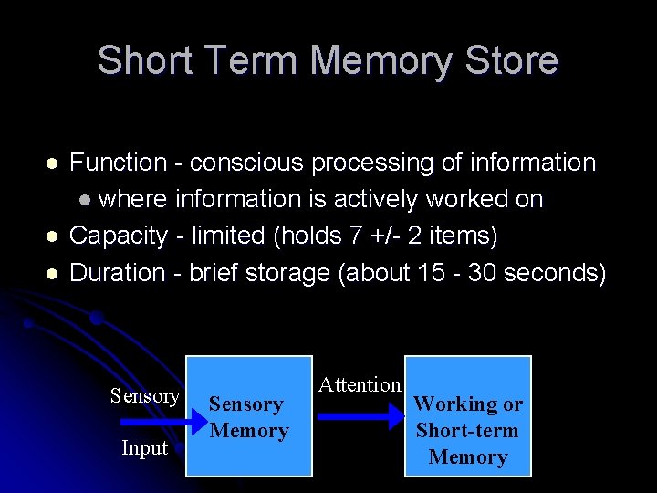 Short Term Memory Store l l l Function - conscious processing of information l