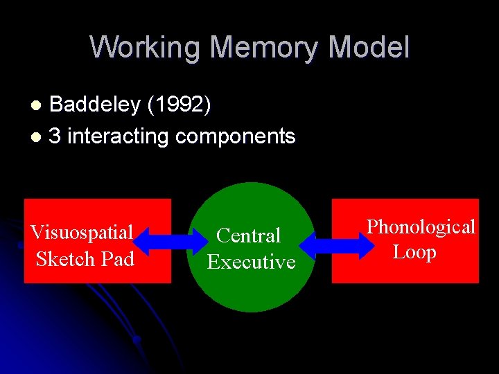 Working Memory Model Baddeley (1992) l 3 interacting components l Visuospatial Sketch Pad Central