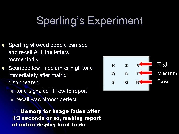 Sperling’s Experiment l l Sperling showed people can see and recall ALL the letters