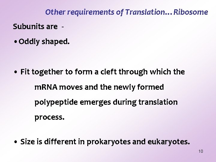 Other requirements of Translation…Ribosome Subunits are - • Oddly shaped. • Fit together to Other requirements of Translation…Ribosome Subunits are - • Oddly shaped. • Fit together to