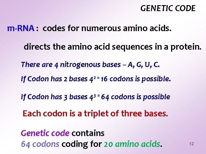 GENETIC CODE m-RNA : codes for numerous amino acids. directs the amino acid sequences GENETIC CODE m-RNA : codes for numerous amino acids. directs the amino acid sequences