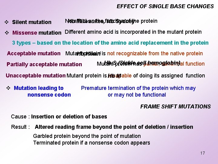 EFFECT OF SINGLE BASE CHANGES v Silent mutation No on the function of the EFFECT OF SINGLE BASE CHANGES v Silent mutation No on the function of the