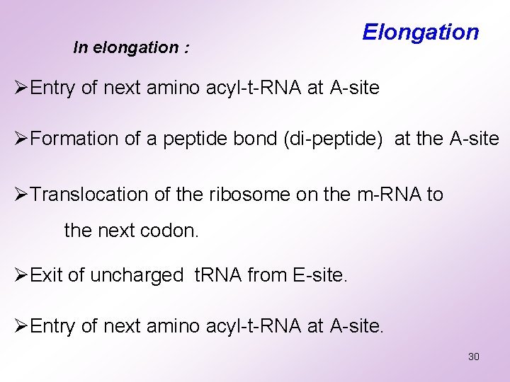 In elongation : Elongation ØEntry of next amino acyl-t-RNA at A-site ØFormation of a In elongation : Elongation ØEntry of next amino acyl-t-RNA at A-site ØFormation of a