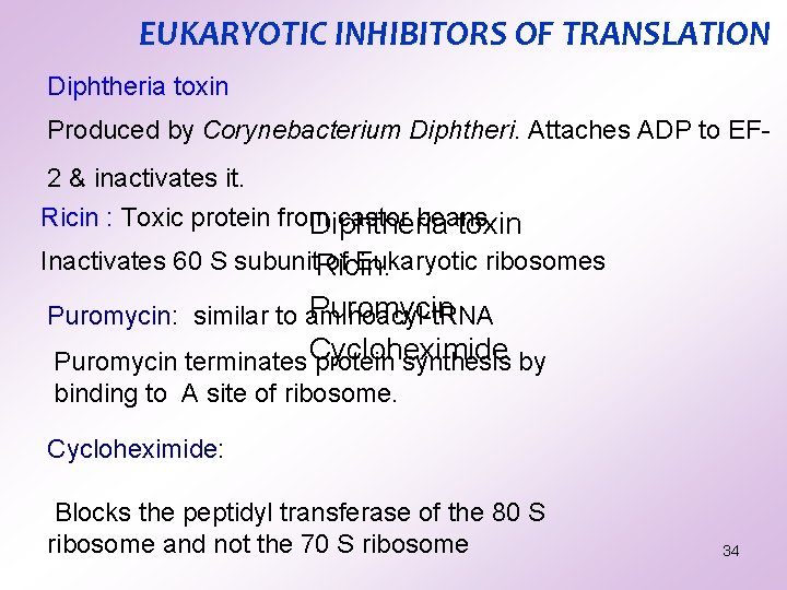 EUKARYOTIC INHIBITORS OF TRANSLATION Diphtheria toxin Produced by Corynebacterium Diphtheri. Attaches ADP to EF EUKARYOTIC INHIBITORS OF TRANSLATION Diphtheria toxin Produced by Corynebacterium Diphtheri. Attaches ADP to EF