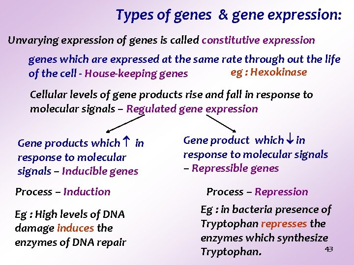 Types of genes & gene expression: Unvarying expression of genes is called constitutive expression Types of genes & gene expression: Unvarying expression of genes is called constitutive expression