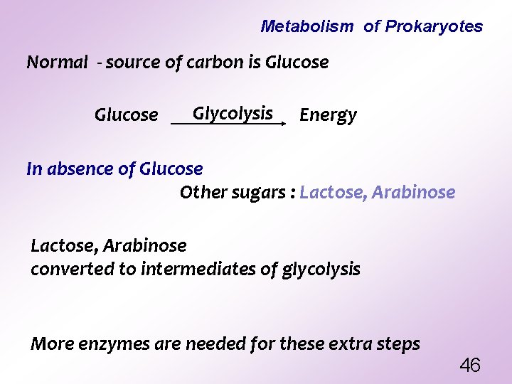 Metabolism of Prokaryotes Normal - source of carbon is Glucose Glycolysis Energy In absence Metabolism of Prokaryotes Normal - source of carbon is Glucose Glycolysis Energy In absence