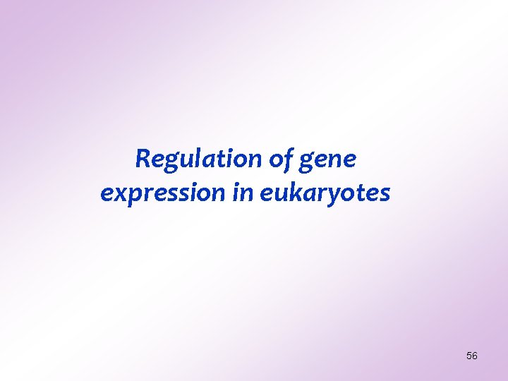 Regulation of gene expression in eukaryotes 56 Regulation of gene expression in eukaryotes 56