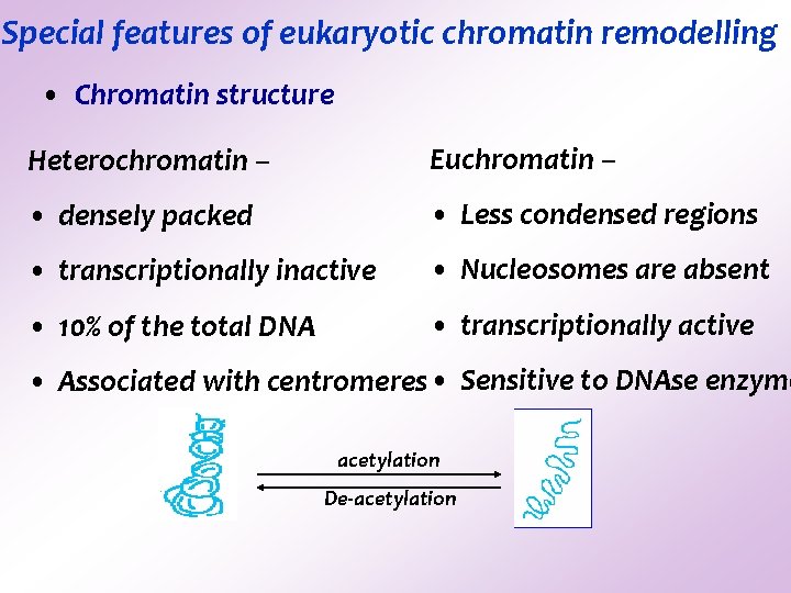 Special features of eukaryotic chromatin remodelling • Chromatin structure Heterochromatin – Euchromatin – • Special features of eukaryotic chromatin remodelling • Chromatin structure Heterochromatin – Euchromatin – •