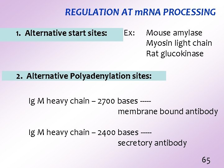 REGULATION AT m. RNA PROCESSING 1. Alternative start sites: Ex: Mouse amylase Myosin light REGULATION AT m. RNA PROCESSING 1. Alternative start sites: Ex: Mouse amylase Myosin light