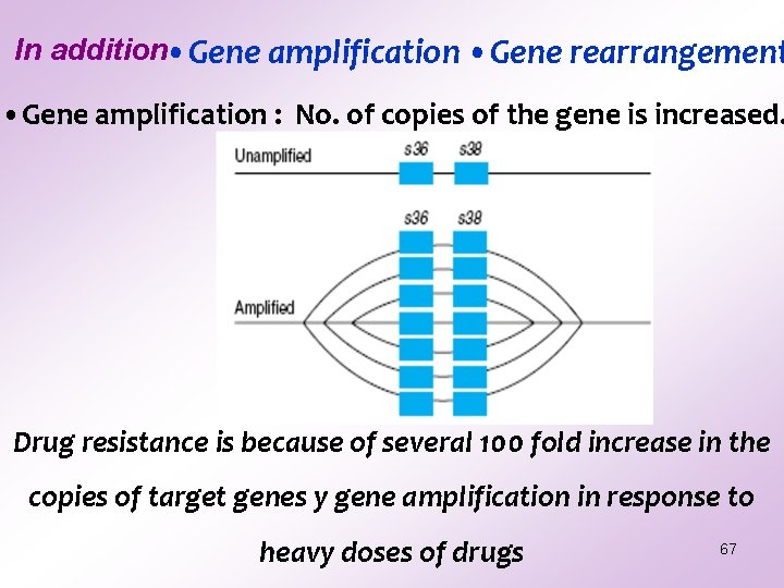 In addition • Gene amplification • Gene rearrangement • Gene amplification : No. of In addition • Gene amplification • Gene rearrangement • Gene amplification : No. of