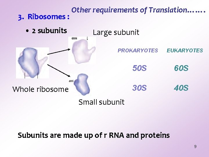3. Ribosomes : • 2 subunits Other requirements of Translation……. Large subunit PROKARYOTES Whole 3. Ribosomes : • 2 subunits Other requirements of Translation……. Large subunit PROKARYOTES Whole