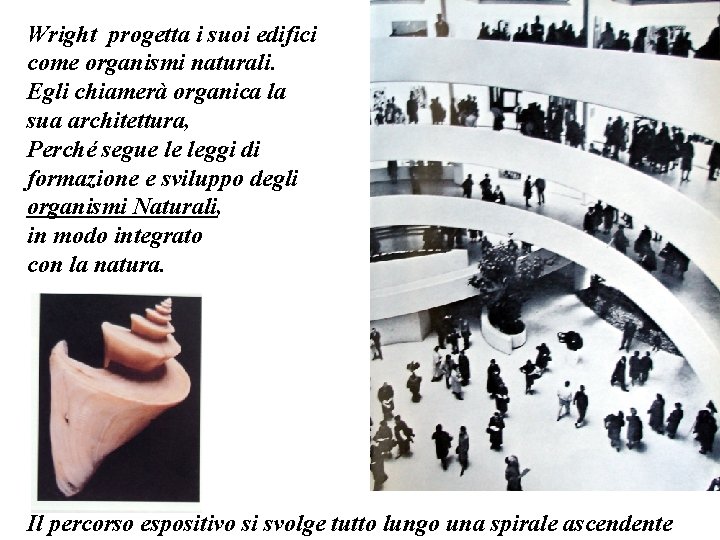 Wright progetta i suoi edifici come organismi naturali. Egli chiamerà organica la sua architettura,