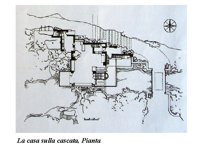 La casa sulla cascata, Pianta 