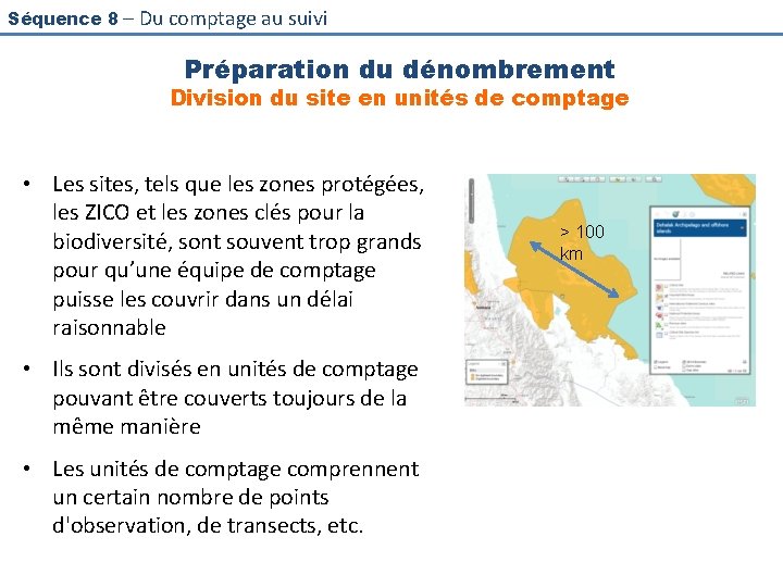 Séquence 8 – Du comptage au suivi Préparation du dénombrement Division du site en