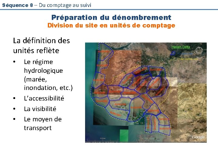 Séquence 8 – Du comptage au suivi Préparation du dénombrement Division du site en