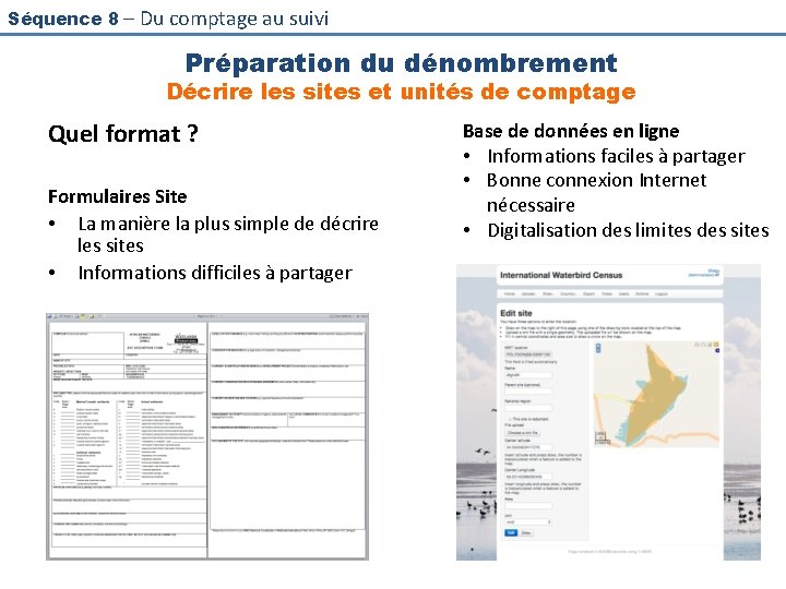 Séquence 8 – Du comptage au suivi Préparation du dénombrement Décrire les sites et