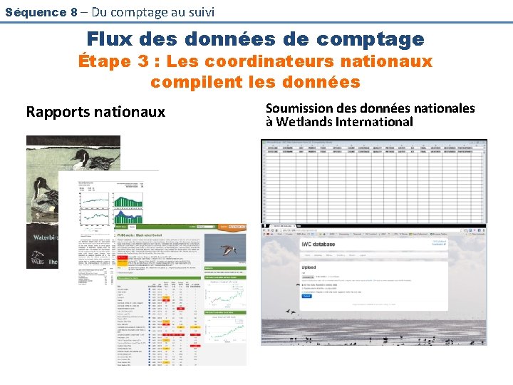 Séquence 8 – Du comptage au suivi Flux des données de comptage Étape 3