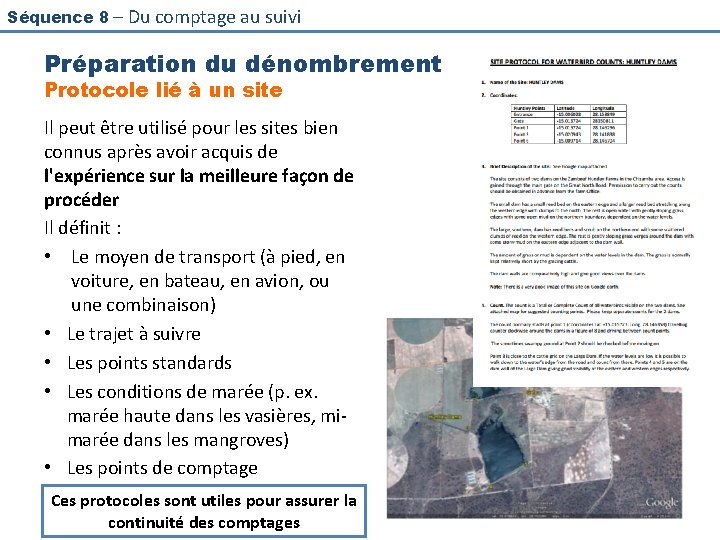 Séquence 8 – Du comptage au suivi Préparation du dénombrement Protocole lié à un