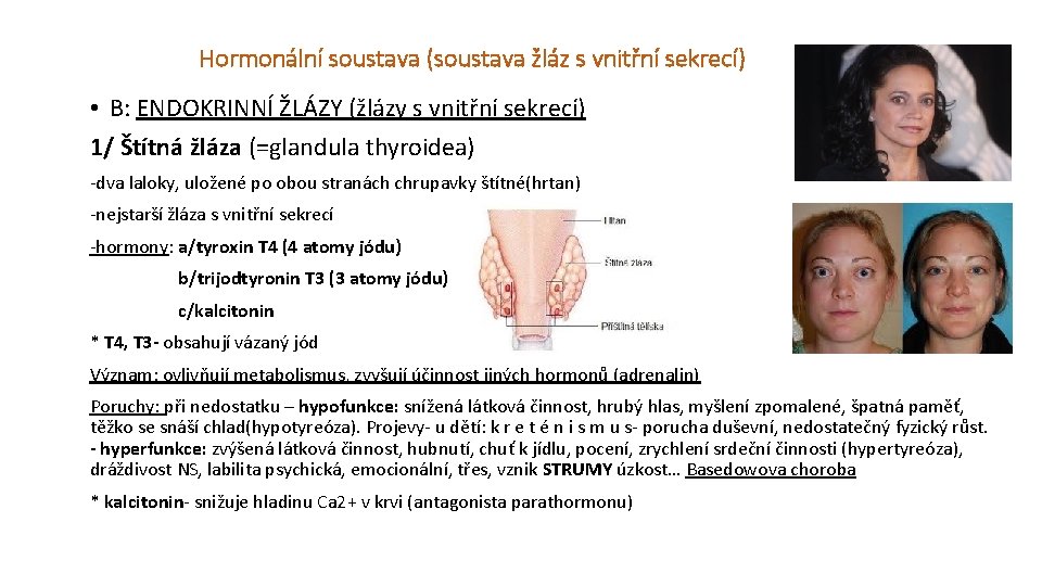 Hormonální soustava (soustava žláz s vnitřní sekrecí) • B: ENDOKRINNÍ ŽLÁZY (žlázy s vnitřní