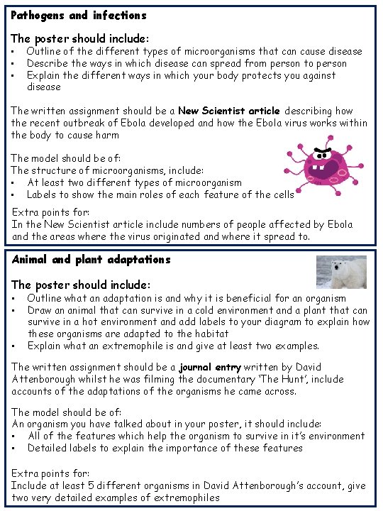 KS 3 SCIENCE PROJECTS This booklet that we