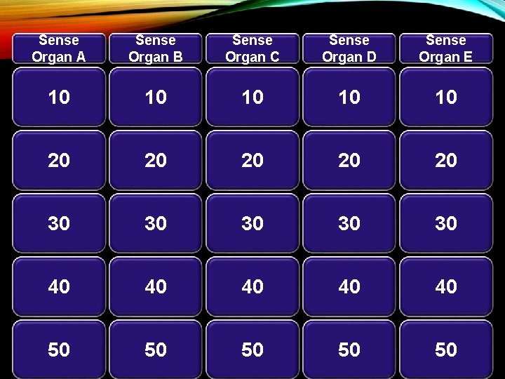 Sense Organ A Sense Organ B Sense Organ C Sense Organ D Sense Organ