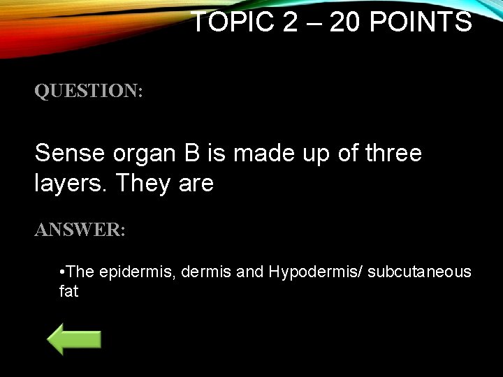 TOPIC 2 – 20 POINTS QUESTION: Sense organ B is made up of three