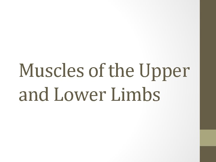 Muscles of the Upper and Lower Limbs 