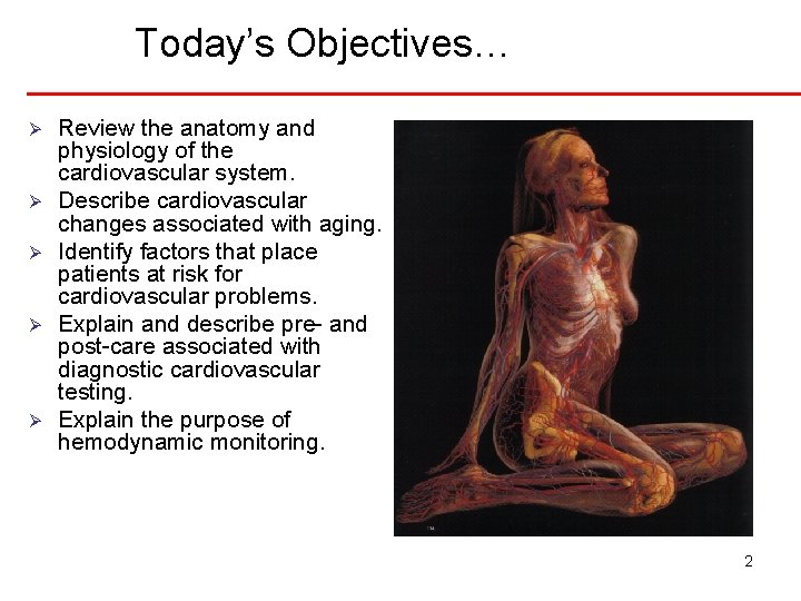 Today’s Objectives… Ø Ø Ø Review the anatomy and physiology of the cardiovascular system.