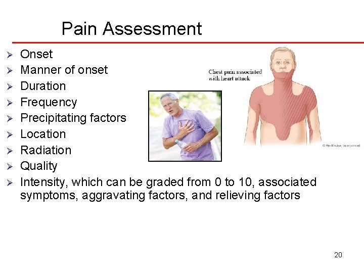 Pain Assessment Ø Ø Ø Ø Ø Onset Manner of onset Duration Frequency Precipitating