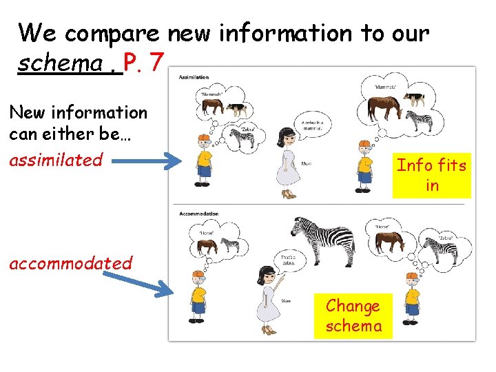 We compare new information to our schema. P. 7 New information can either be…