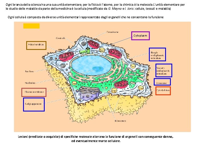 Ogni branca della scienza ha una sua unità elementare; per la fisica è l’atomo,