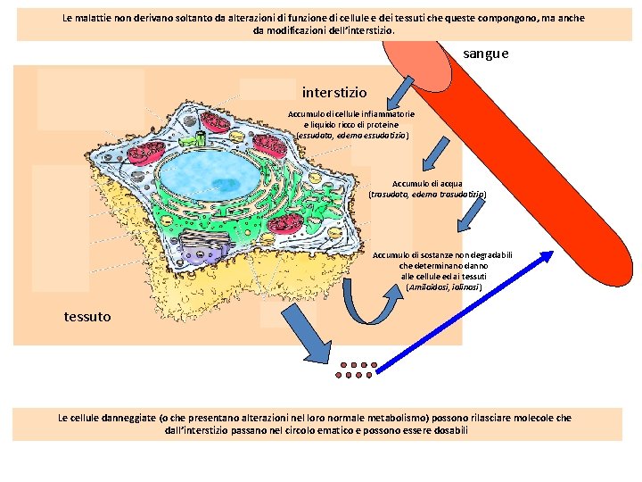 Le malattie non derivano soltanto da alterazioni di funzione di cellule e dei tessuti