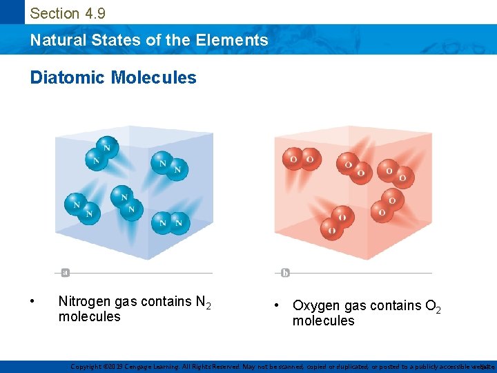 Section 4. 9 Natural States of the Elements Diatomic Molecules • Nitrogen gas contains