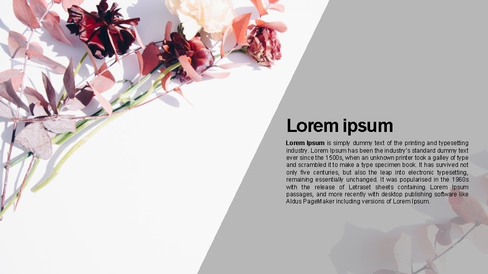 Lorem ipsum Lorem Ipsum is simply dummy text of the printing and typesetting industry.