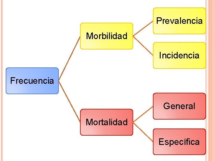 Prevalencia Morbilidad Incidencia Frecuencia General Mortalidad Específica 