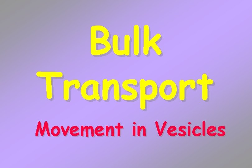 Bulk Transport Movement in Vesicles 