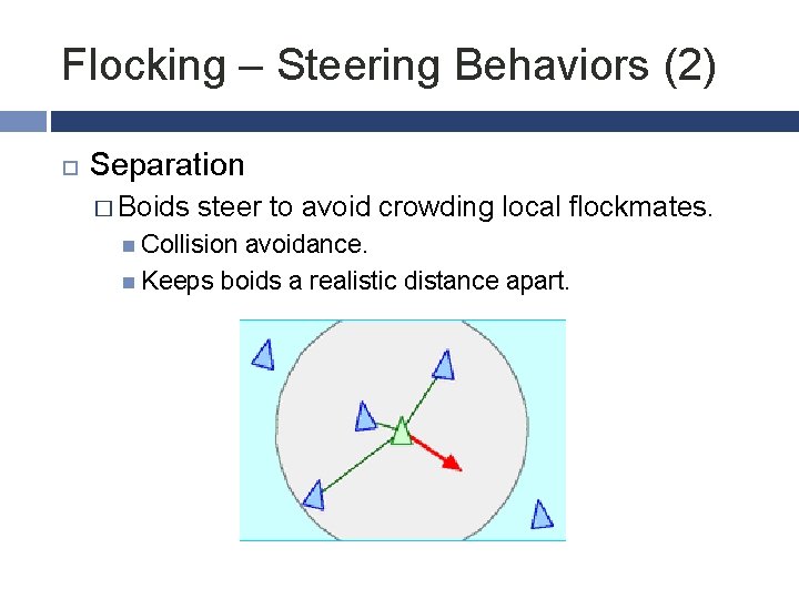 Flocking – Steering Behaviors (2) Separation � Boids steer to avoid crowding local flockmates.