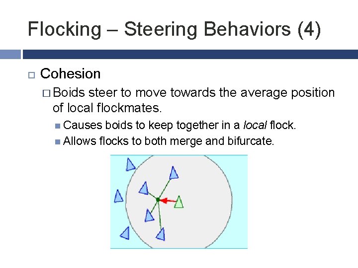 Flocking – Steering Behaviors (4) Cohesion � Boids steer to move towards the average