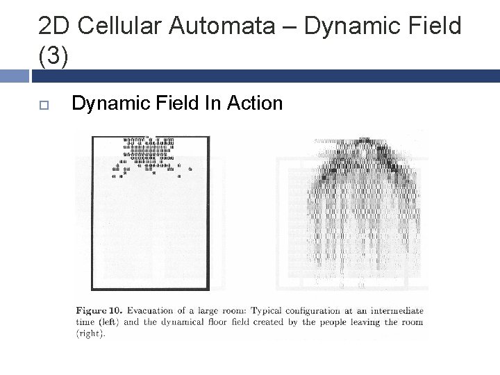 2 D Cellular Automata – Dynamic Field (3) Dynamic Field In Action 