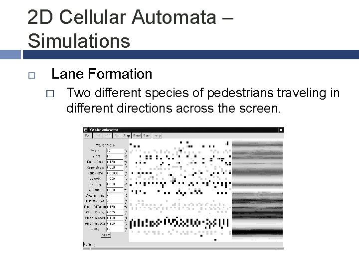 2 D Cellular Automata – Simulations Lane Formation � Two different species of pedestrians